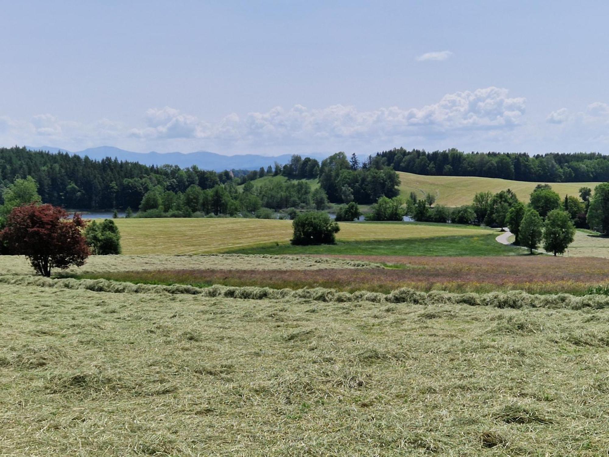 Ferienwohnung Ewigkeit - 4-Sterne Dtv Klassifiziert Leutkirch im Allgau Bagian luar foto